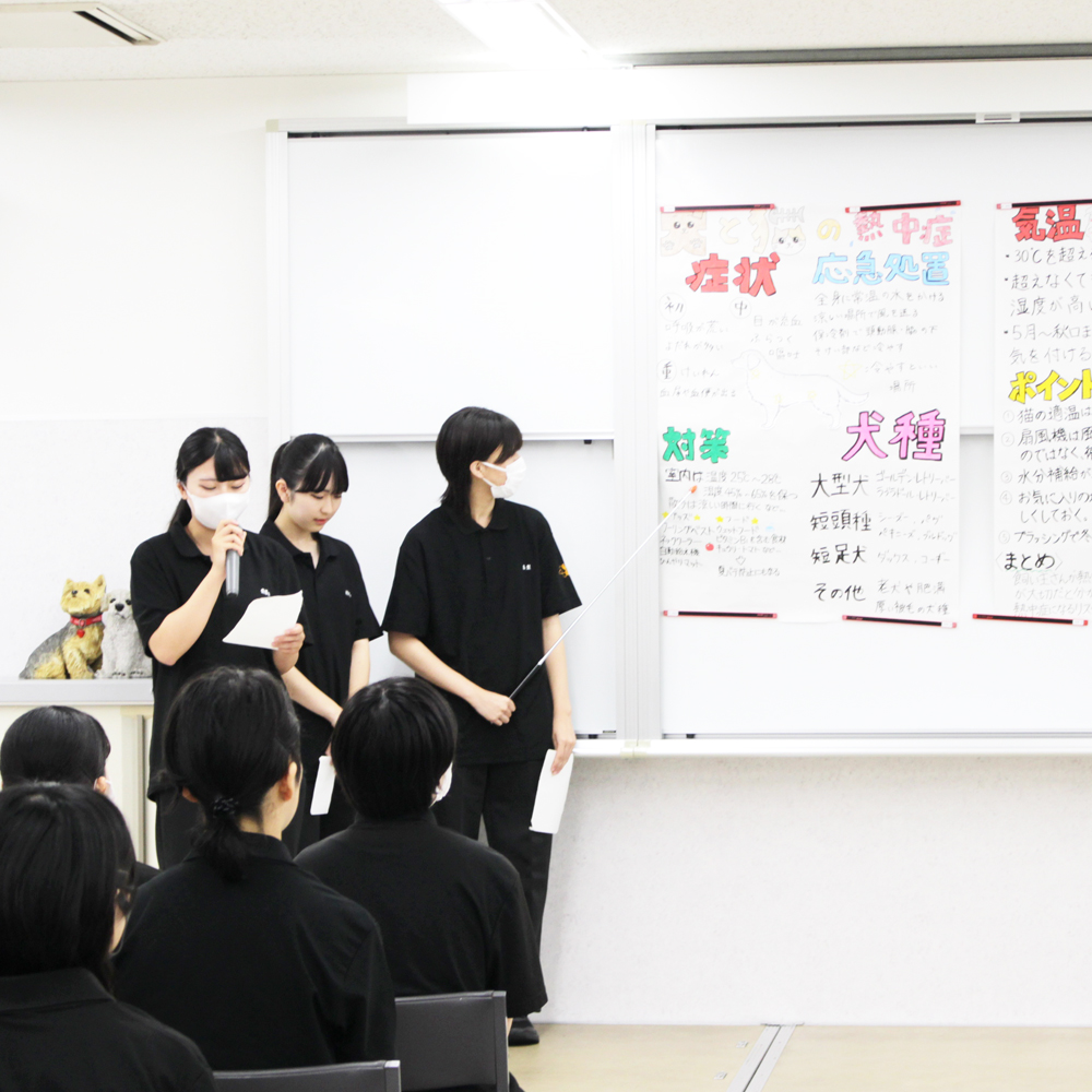 １年生のグループ研究発表会！